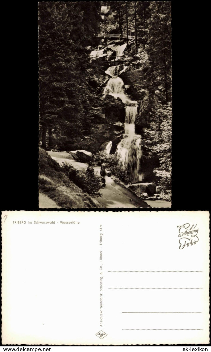 Ansichtskarte Triberg Im Schwarzwald Schwarzwald Wasserfälle 1961 - Triberg