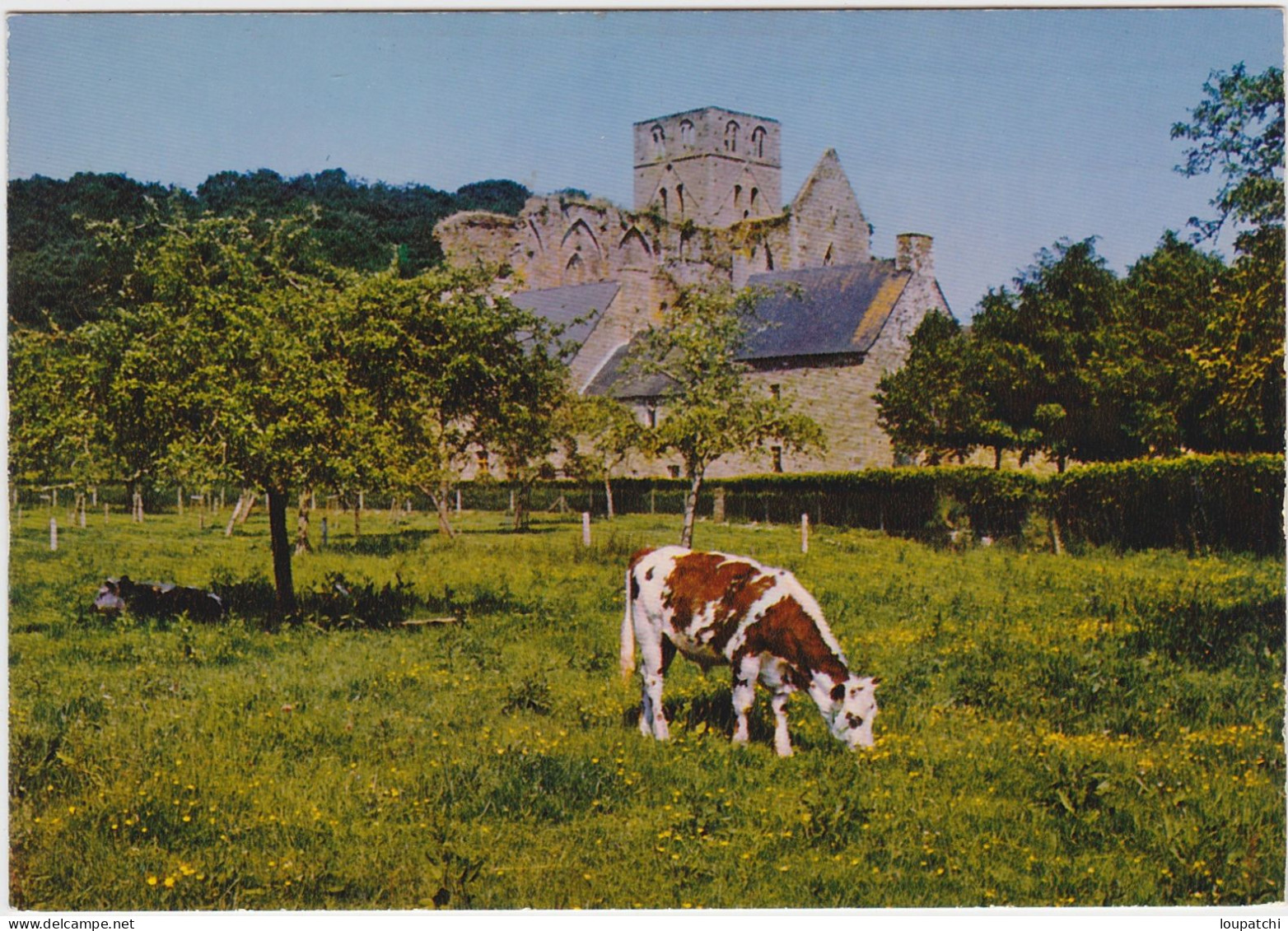 Abbaye D' Hambye Boeuf Normand - Sonstige & Ohne Zuordnung