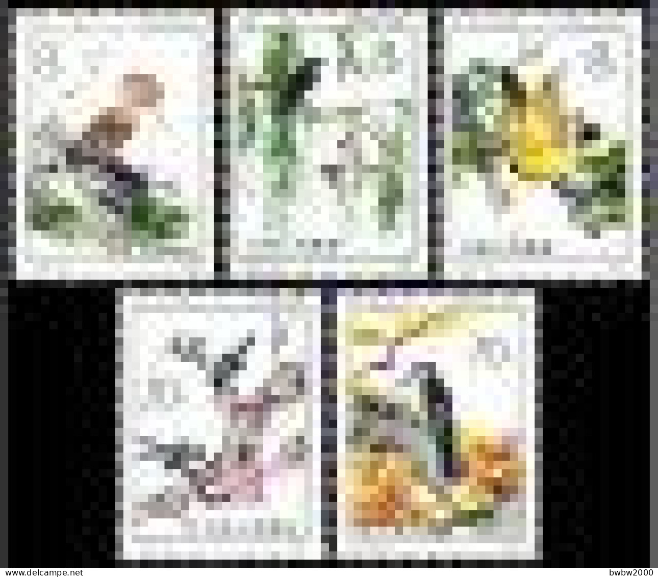 China T79, Beneficial Birds《益鸟》 - Unused Stamps