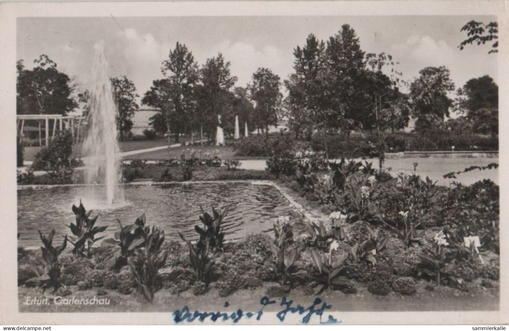 62465 - Erfurt - Gartenschau - 1953 - Erfurt