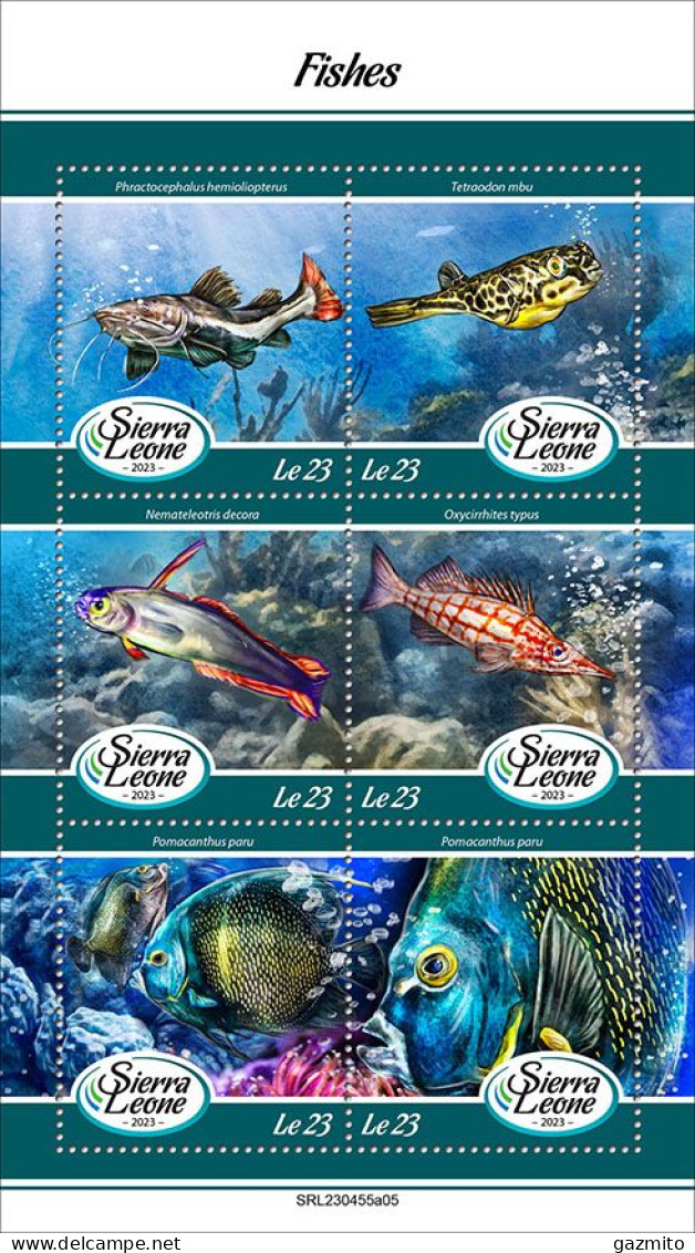 Sierra Leone 2023, Animals, Fishes, 6val In BF - Peces