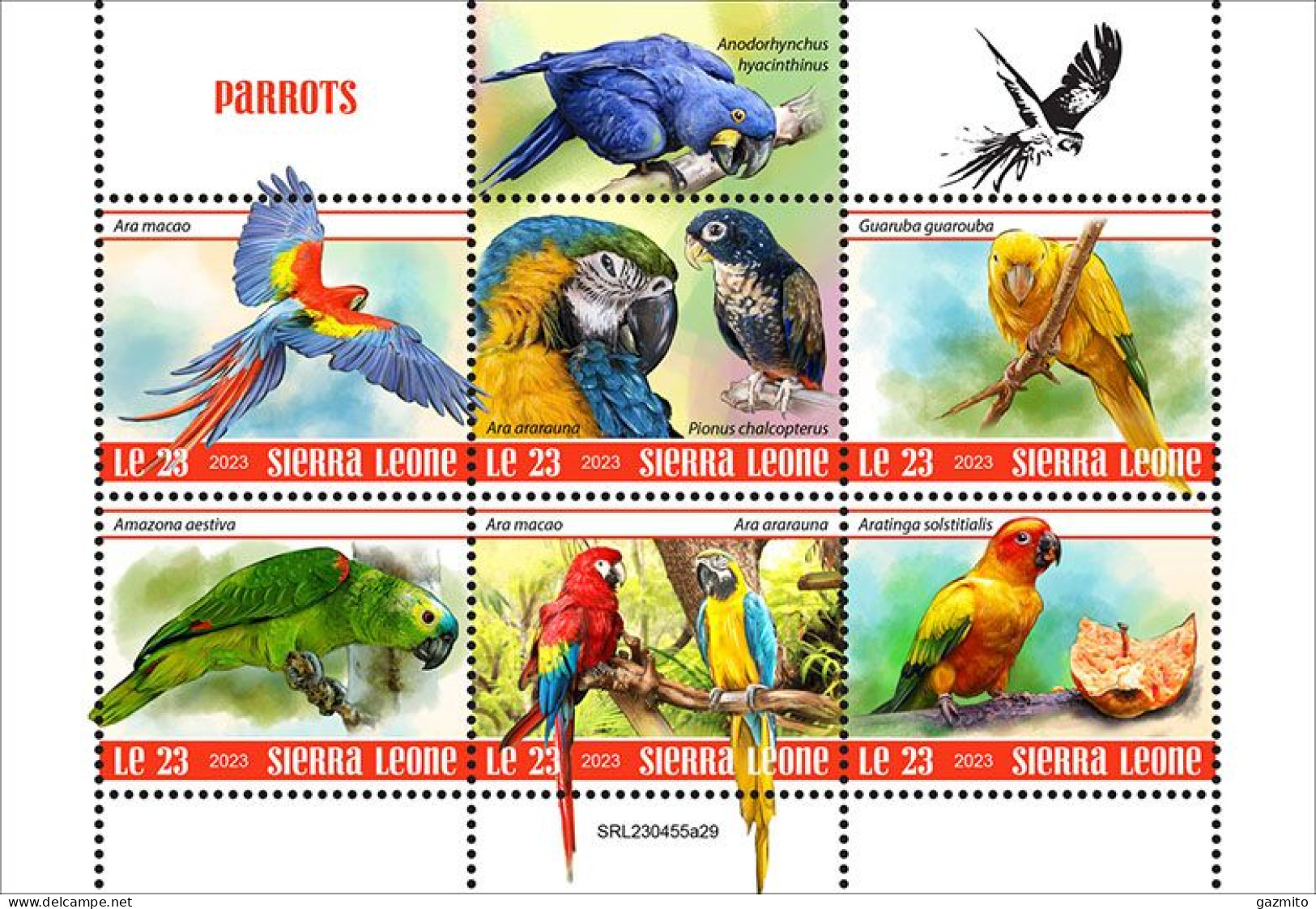 Sierra Leone 2023, Animals, Parrots, 6val In BF - Papagayos