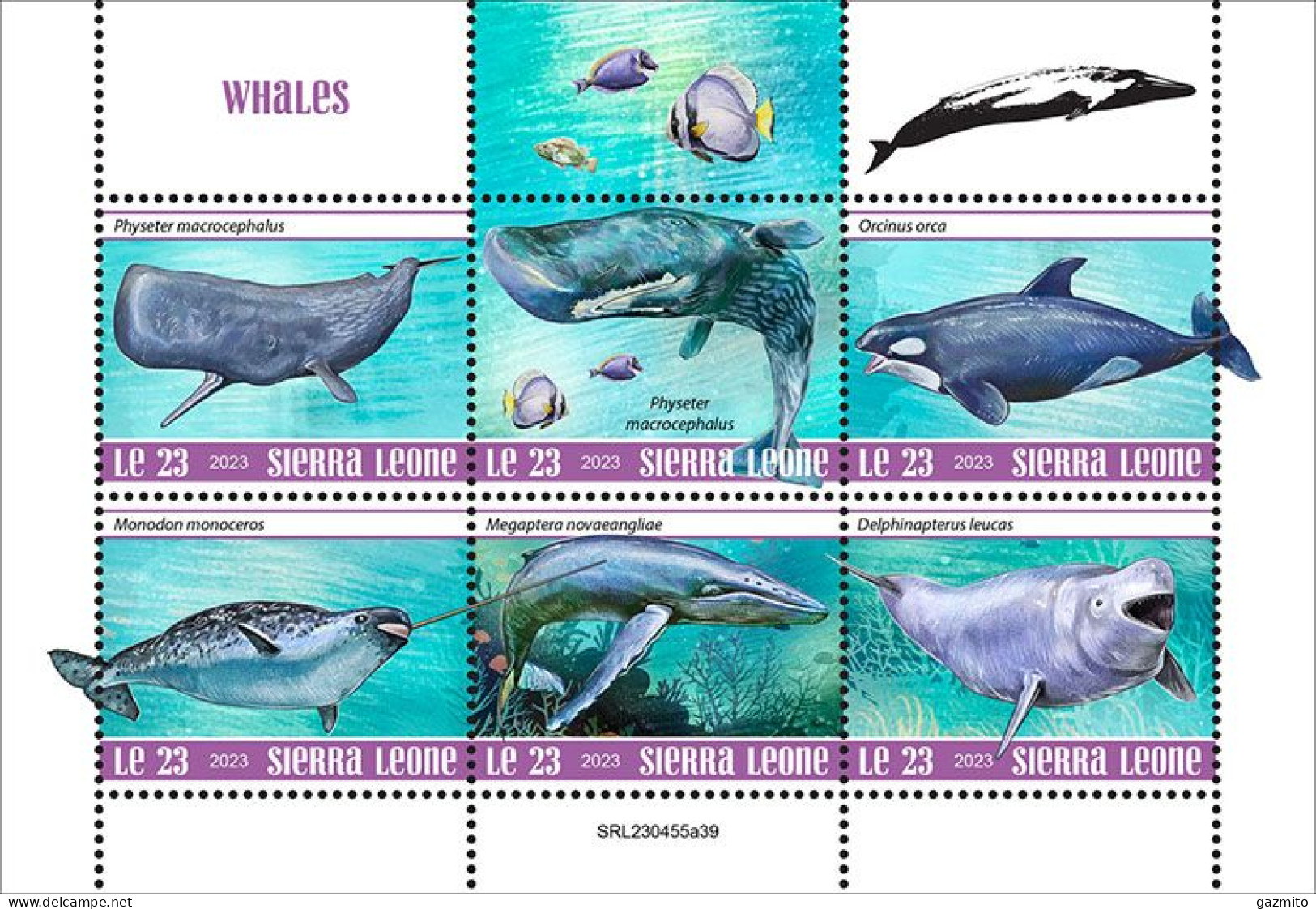 Sierra Leone 2023, Animals, Whales, 6val In BF - Ballenas