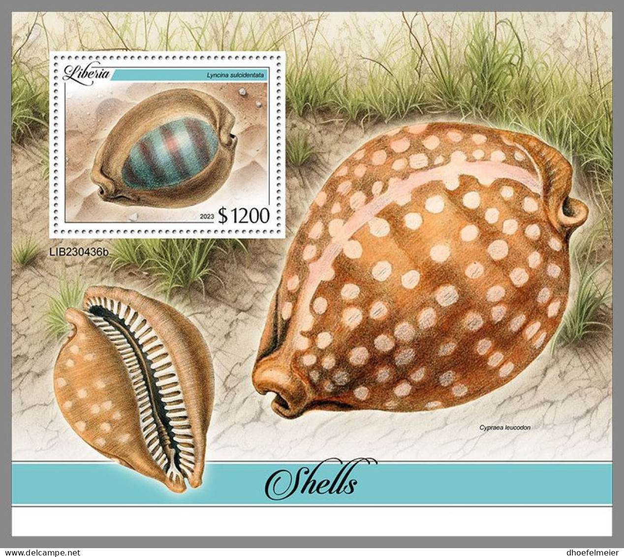 LIBERIA 2023 MNH Shells Muscheln S/S – OFFICIAL ISSUE – DHQ2413 - Coquillages