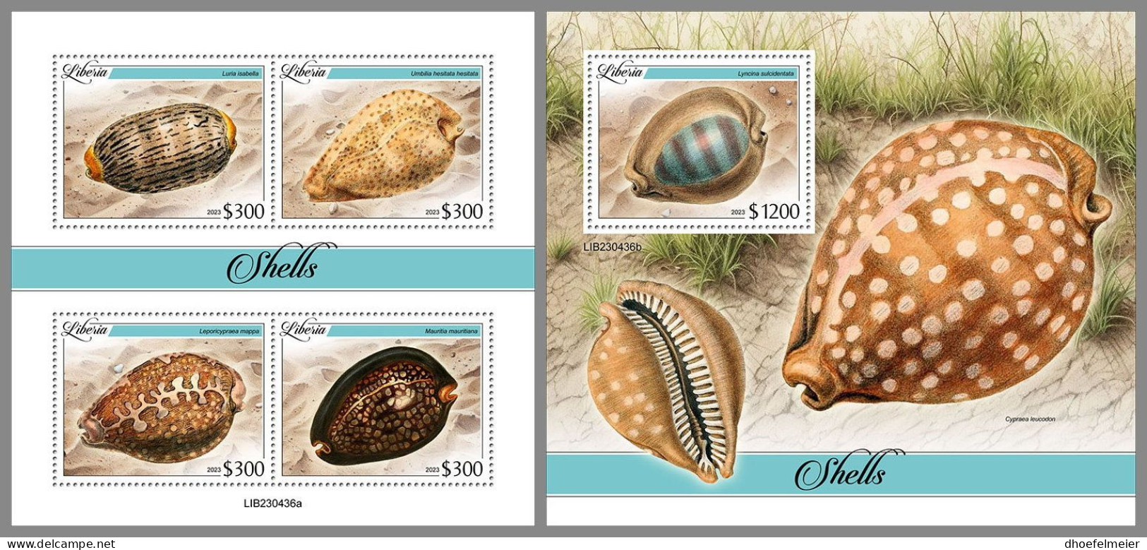 LIBERIA 2023 MNH Shells Muscheln M/S+S/S – OFFICIAL ISSUE – DHQ2413 - Conchiglie