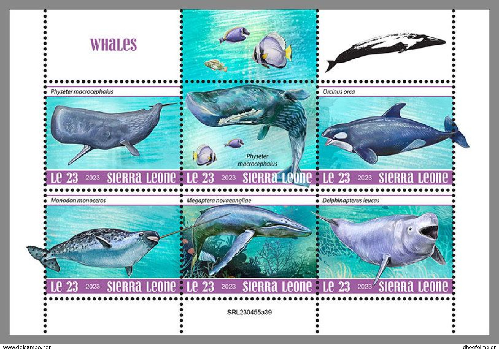 SIERRA LEONE 2023 MNH Whales Wale M/S – OFFICIAL ISSUE – DHQ2413 - Ballenas
