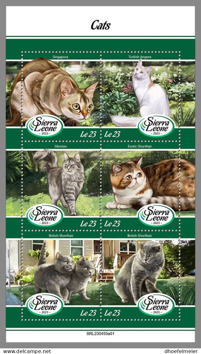 SIERRA LEONE 2023 MNH Cats Katzen M/S – OFFICIAL ISSUE – DHQ2413 - Katten