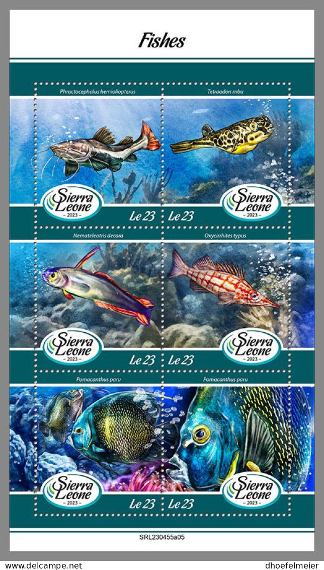 SIERRA LEONE 2023 MNH Fishes Fische M/S – OFFICIAL ISSUE – DHQ2413 - Vissen