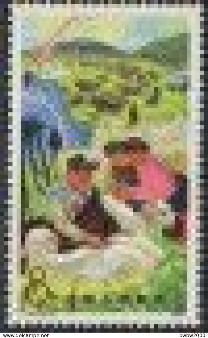 China T27, Learn From Dazhai In Animal Husbandry And Build New Pastoral Area(3-3)Mechanization Of Animal Husbandry - Unused Stamps