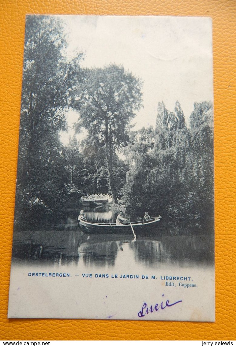 DESTELBERGEN -  Zicht In De Tuin Van M. Libbrecht  - Vue Dans Le Jardin De M. Libbrecht - Destelbergen