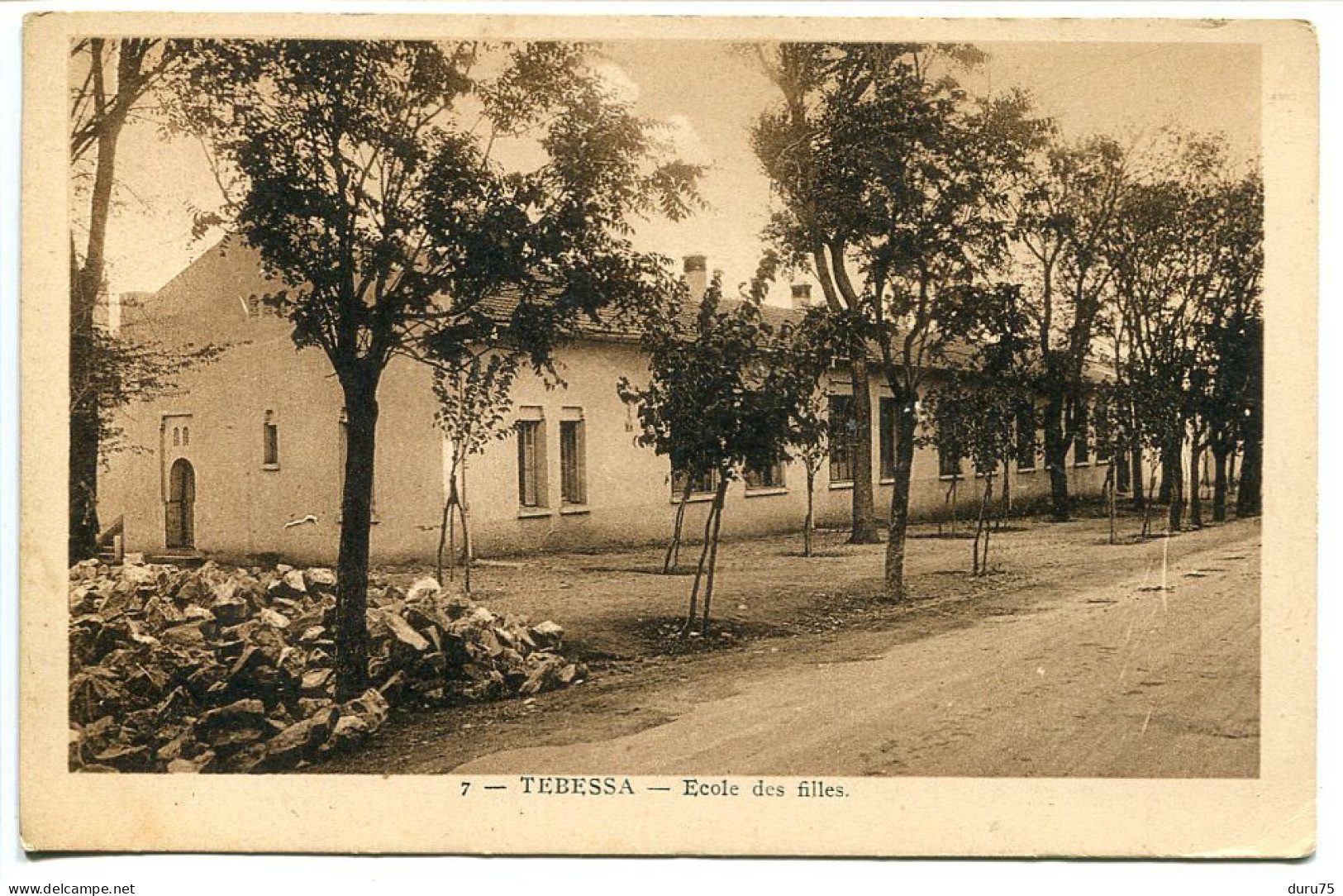 Algérie - TEBESSA Ecole Des Filles ( De Fille ) E.P.A. Alger - Tébessa