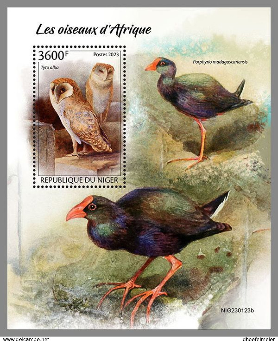 NIGER 2023 MNH Birds Of Africa Afrikanische Vögel S/S – IMPERFORATED – DHQ2413 - Andere & Zonder Classificatie