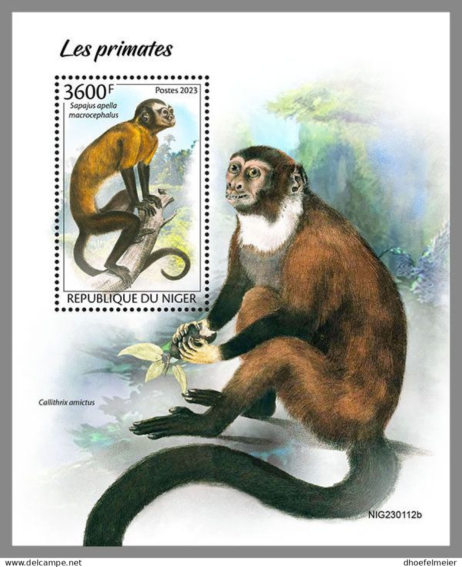 NIGER 2023 MNH Primaten Monkeys Affen S/S – IMPERFORATED – DHQ2413 - Mono