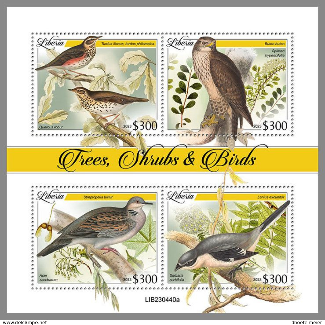 LIBERIA 2023 MNH Trees & Birds Bäume & Vögel M/S – IMPERFORATED – DHQ2413 - Other & Unclassified