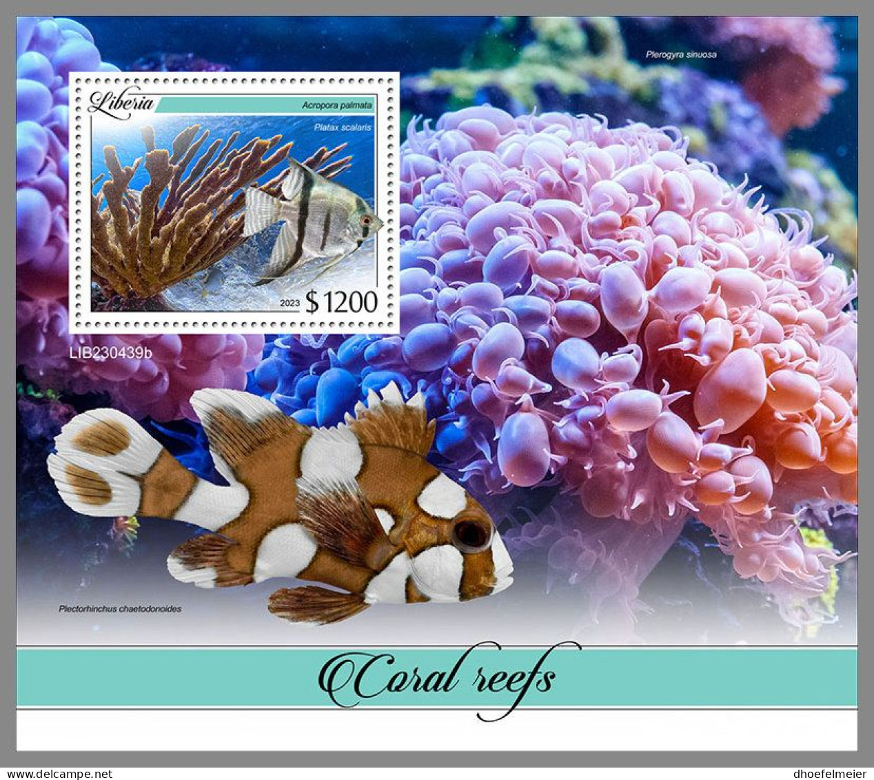 LIBERIA 2023 MNH Coral Reefs Korallenriffe S/S – IMPERFORATED – DHQ2413 - Osterholz-Schambeck