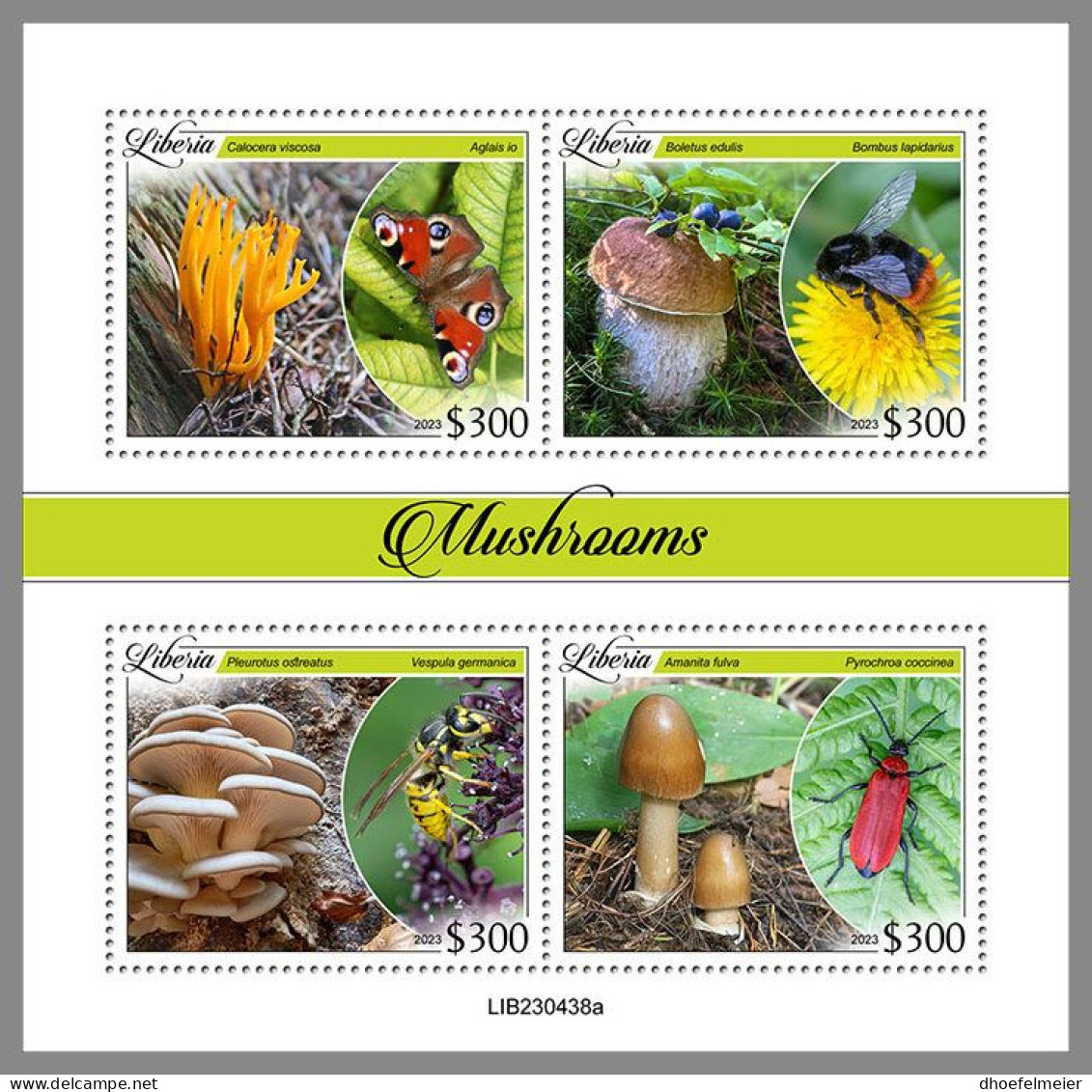 LIBERIA 2023 MNH Mushrooms Pilze M/S – IMPERFORATED – DHQ2413 - Mushrooms