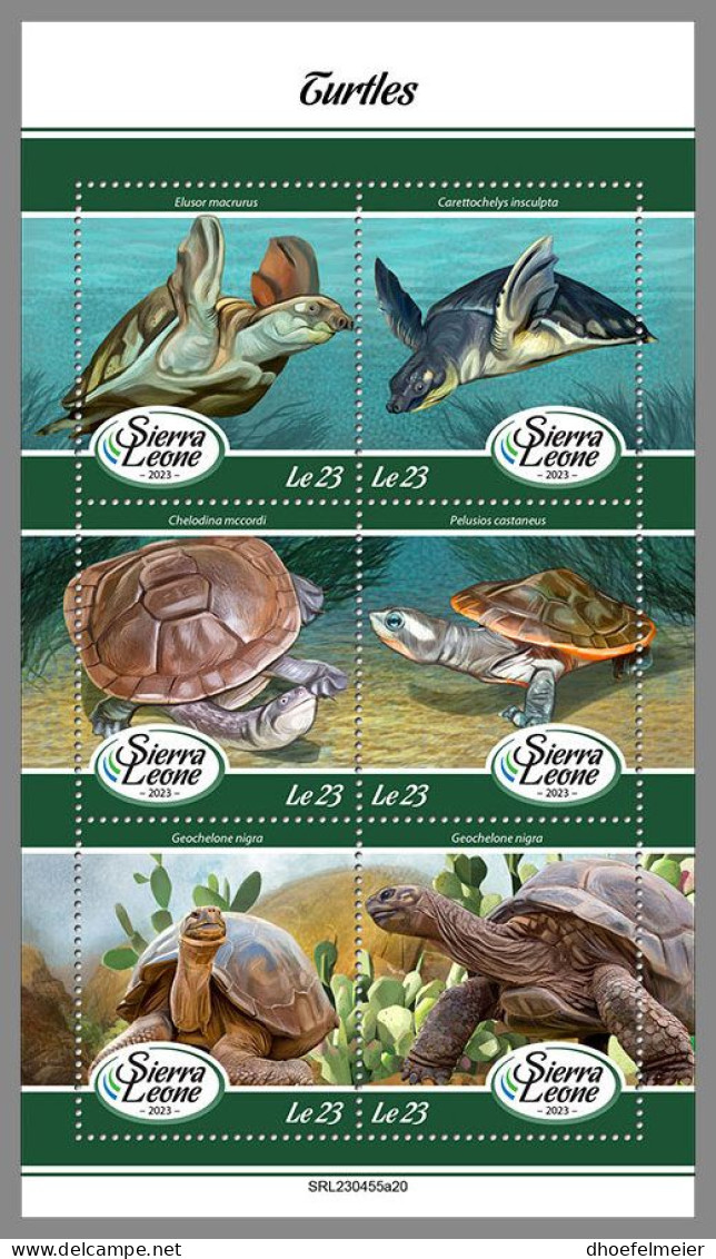 SIERRA LEONE 2023 MNH Turtles Schildkröten M/S – IMPERFORATED – DHQ2413 - Tortues