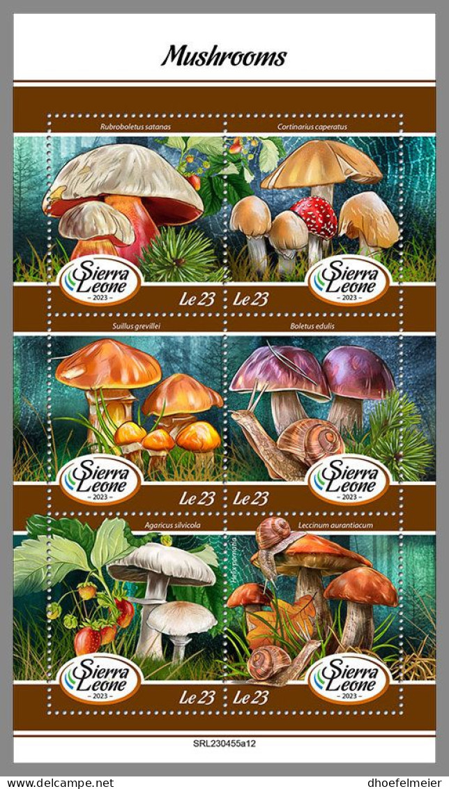 SIERRA LEONE 2023 MNH Mushrooms Pilze M/S – IMPERFORATED – DHQ2413 - Pilze