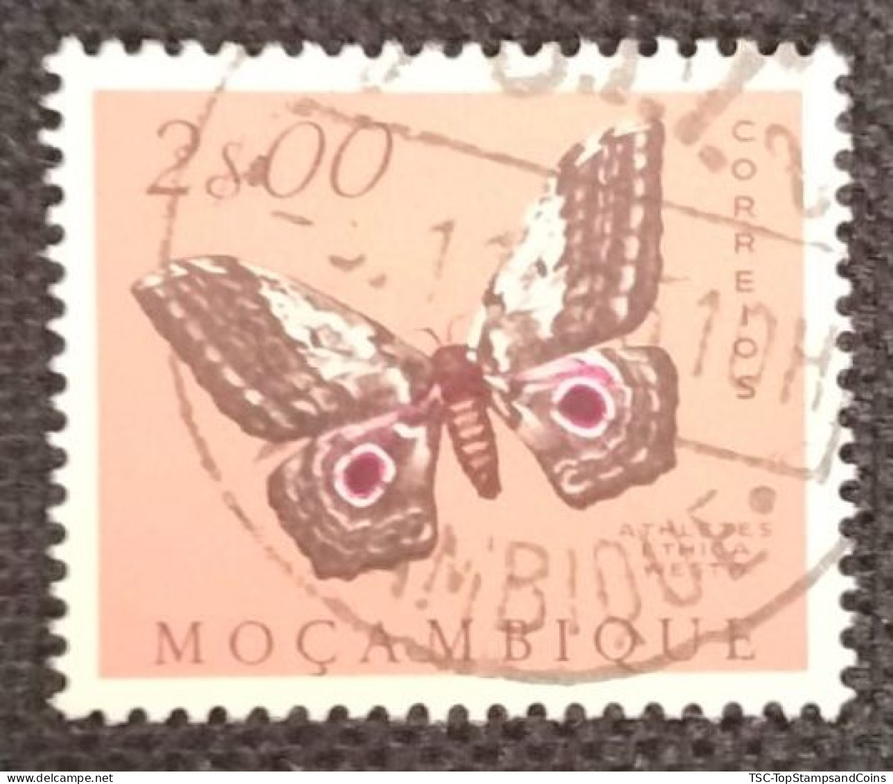 MOZPO0397U4 - Mozambique Butterflies  - 2$00 Used Stamp - Mozambique - 1953 - Mozambique