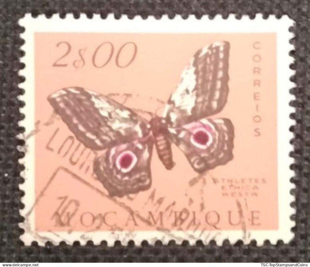 MOZPO0397U5 - Mozambique Butterflies  - 2$00 Used Stamp - Mozambique - 1953 - Mozambique