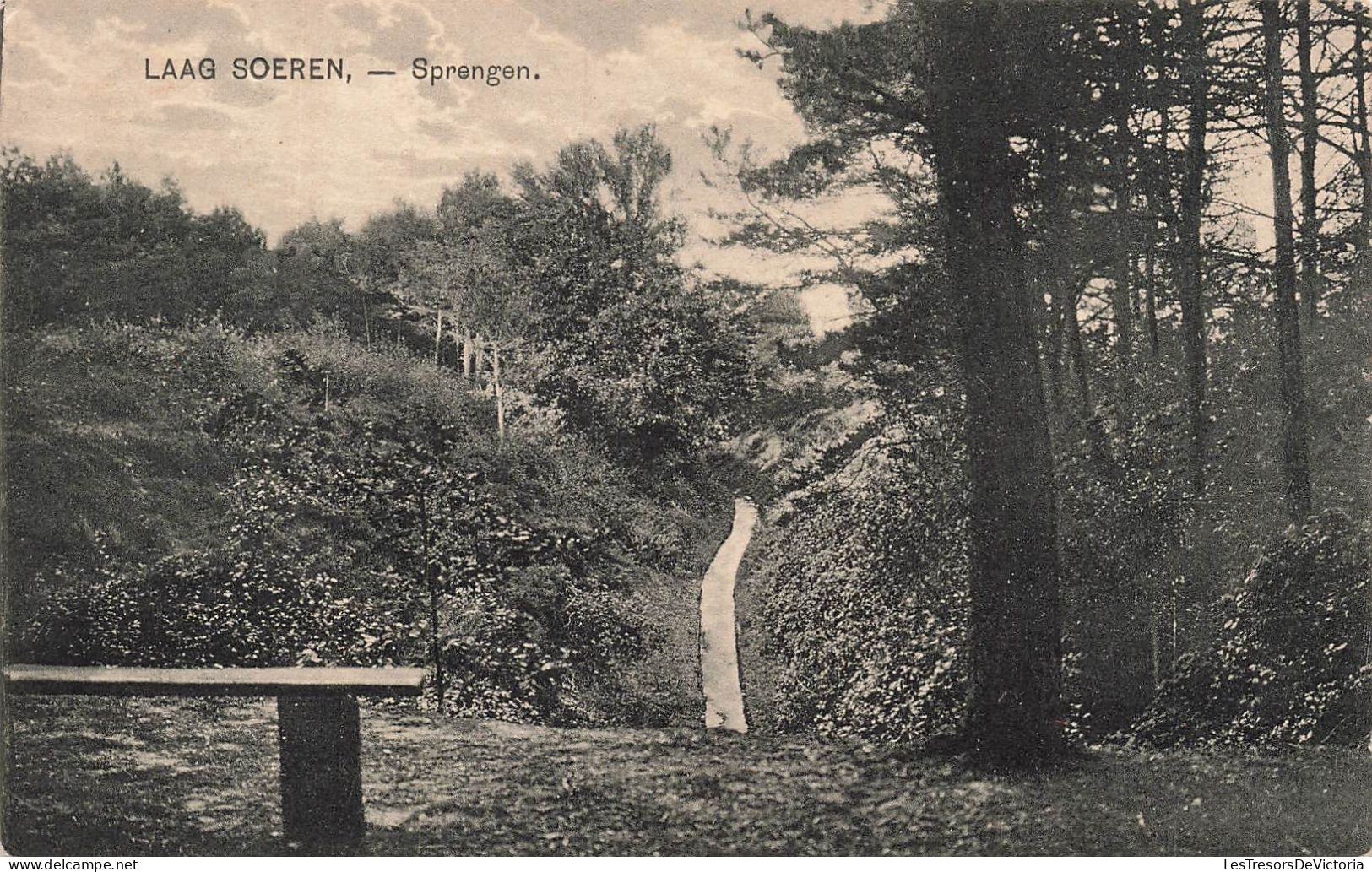 PAYS-BAS - Laag Soeren - Sprengen - Vue Sur Une Allée - Forêt - Vue D'ensemble - Carte Postale Ancienne - Rheden