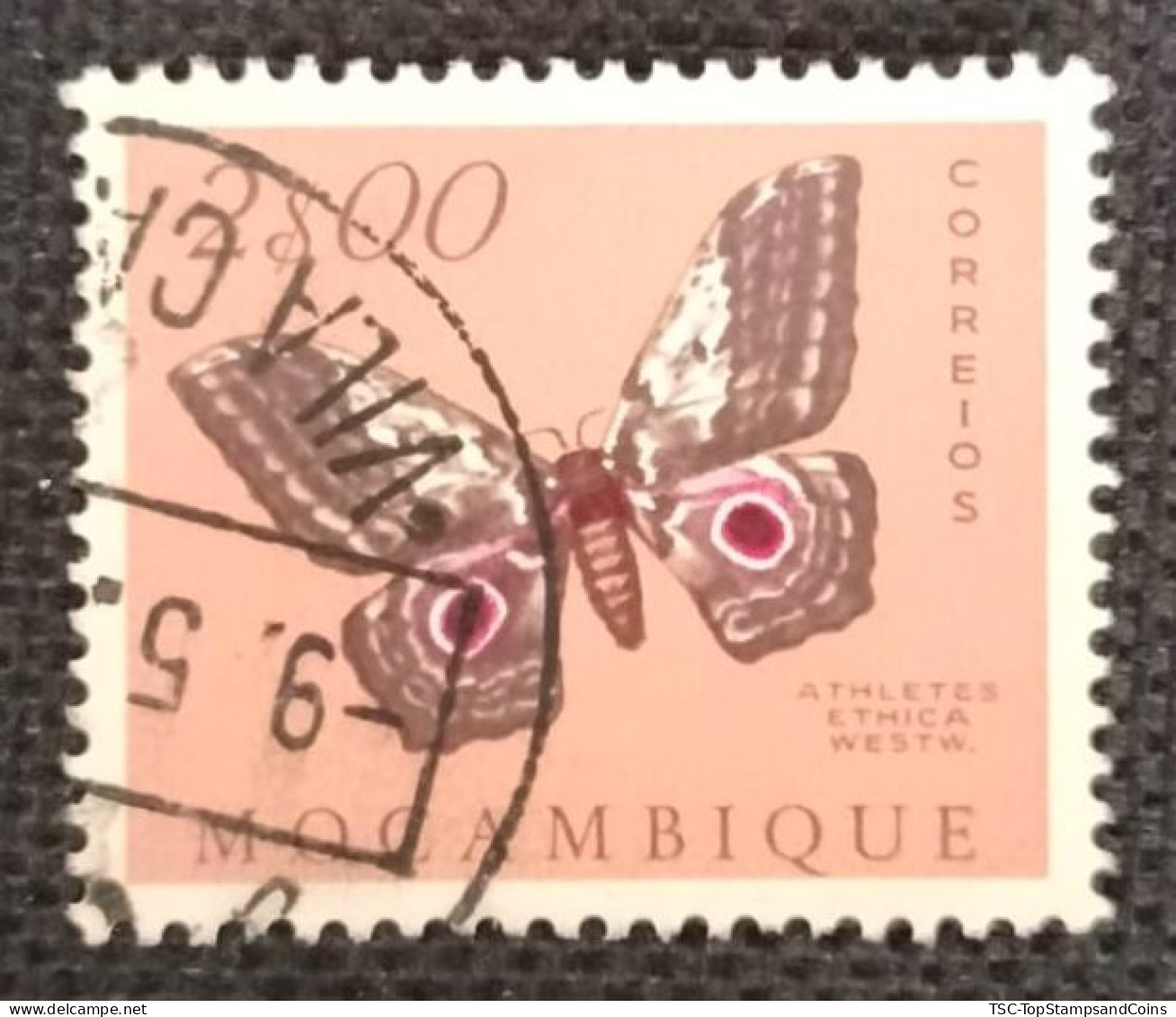 MOZPO0397U6 - Mozambique Butterflies  - 2$00 Used Stamp - Mozambique - 1953 - Mozambique