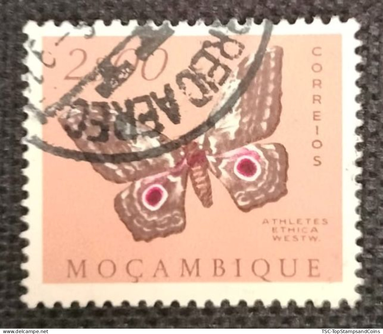 MOZPO0397U9 - Mozambique Butterflies  - 2$00 Used Stamp - Mozambique - 1953 - Mozambique