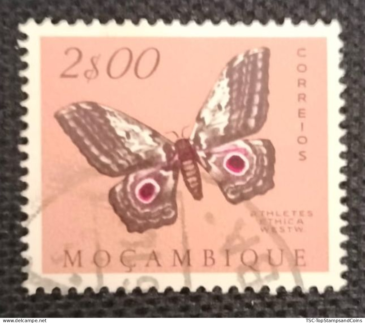 MOZPO0397UB - Mozambique Butterflies  - 2$00 Used Stamp - Mozambique - 1953 - Mozambique