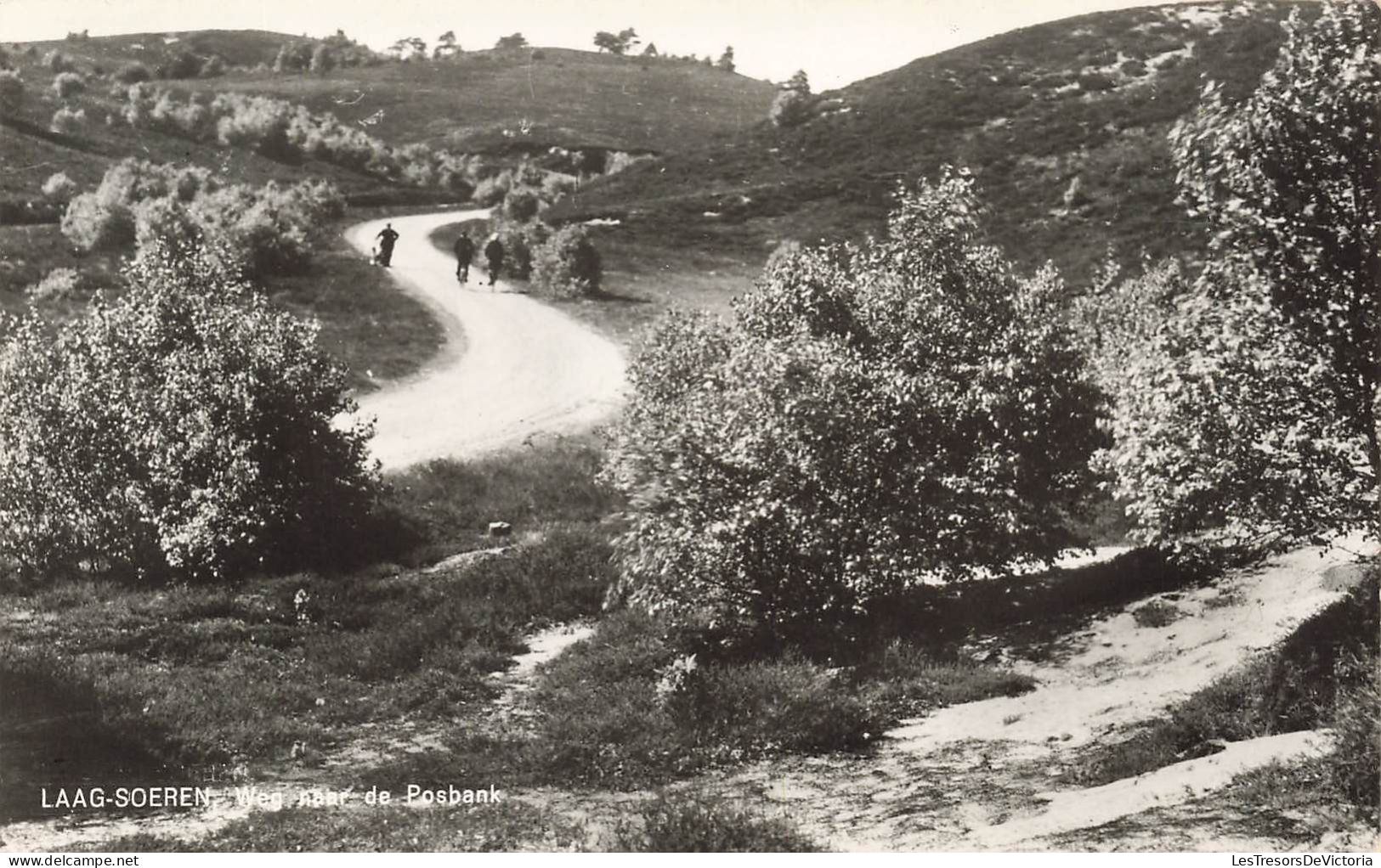 PAYS-BAS - Laag Soeren - Weg Aaar De Posbank - Amro Vakantieooord - Animé - Carte Postale Ancienne - Rheden