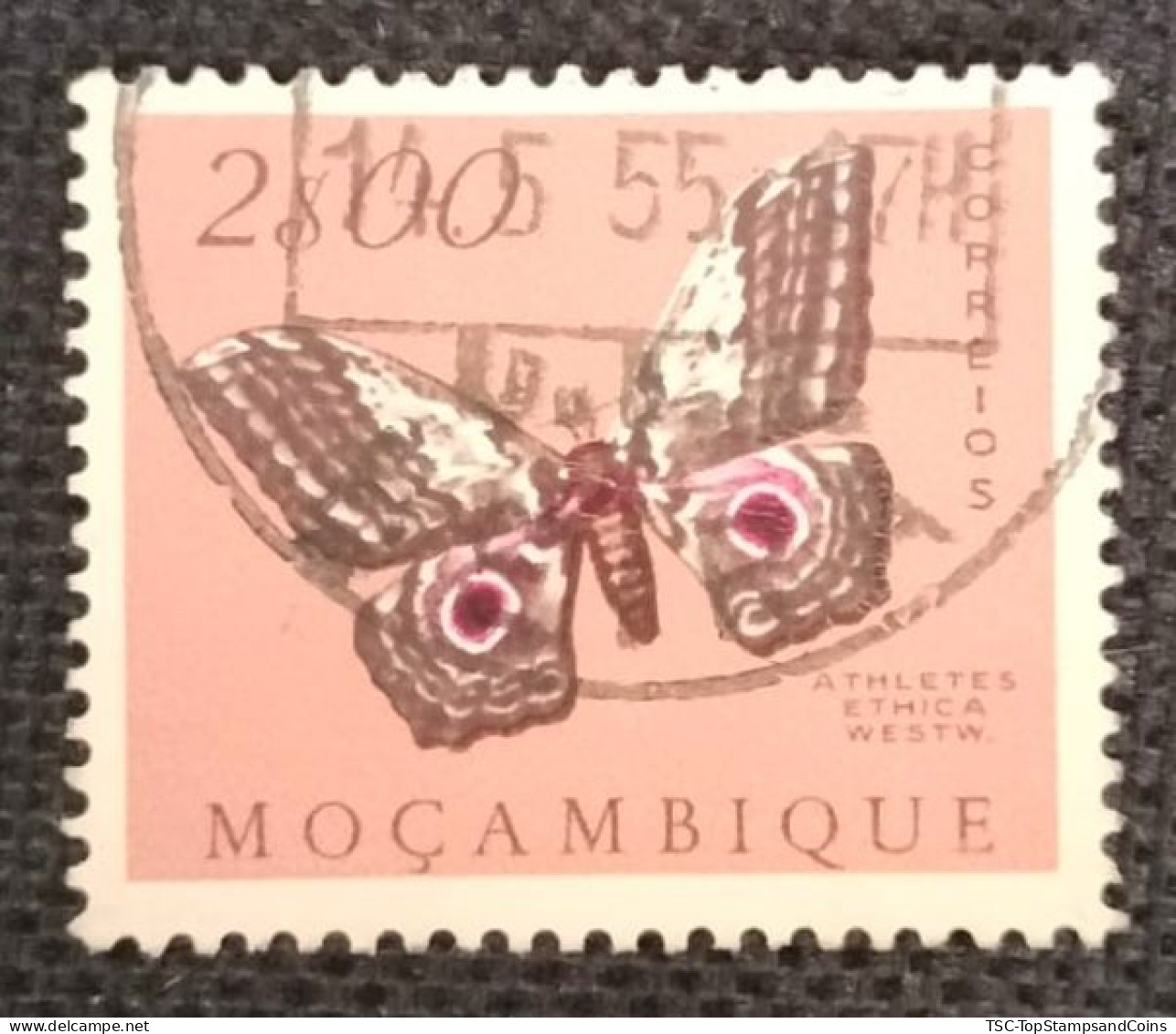 MOZPO0397UD - Mozambique Butterflies  - 2$00 Used Stamp - Mozambique - 1953 - Mozambique