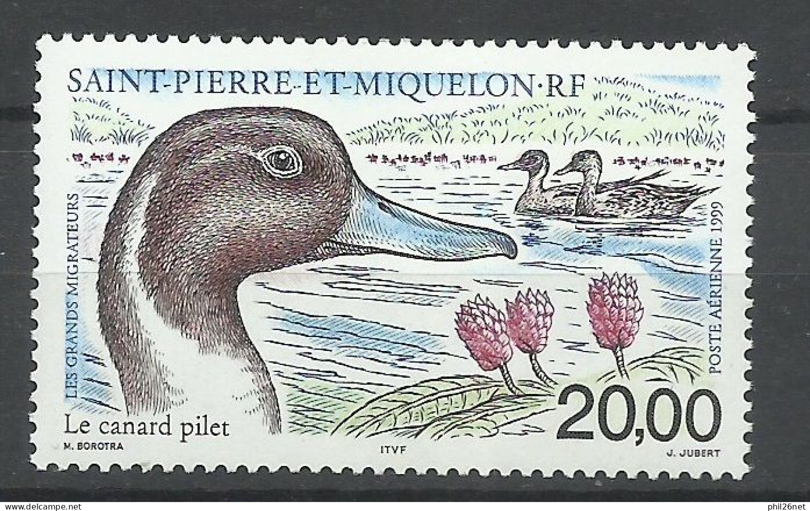 Saint Pierre Et Miquelon SPM Poste Aérienne  N° 79  Canard Pilet   Neuf * *   B/TB  Voir Scans  Soldé   ! ! ! - Neufs