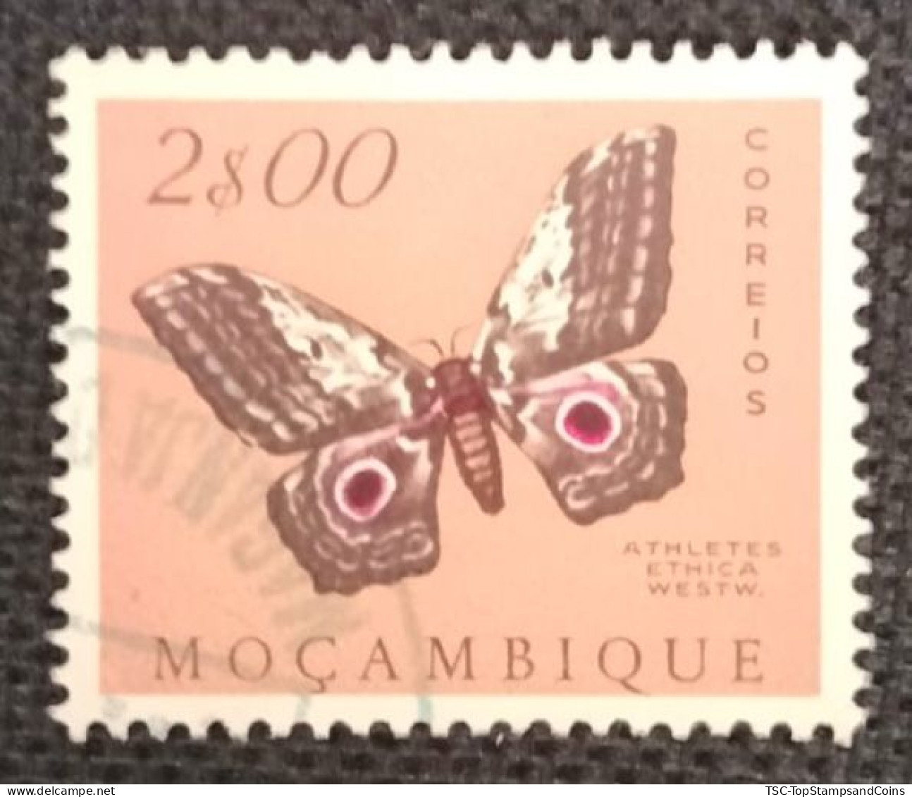 MOZPO0397UE - Mozambique Butterflies  - 2$00 Used Stamp - Mozambique - 1953 - Mozambique