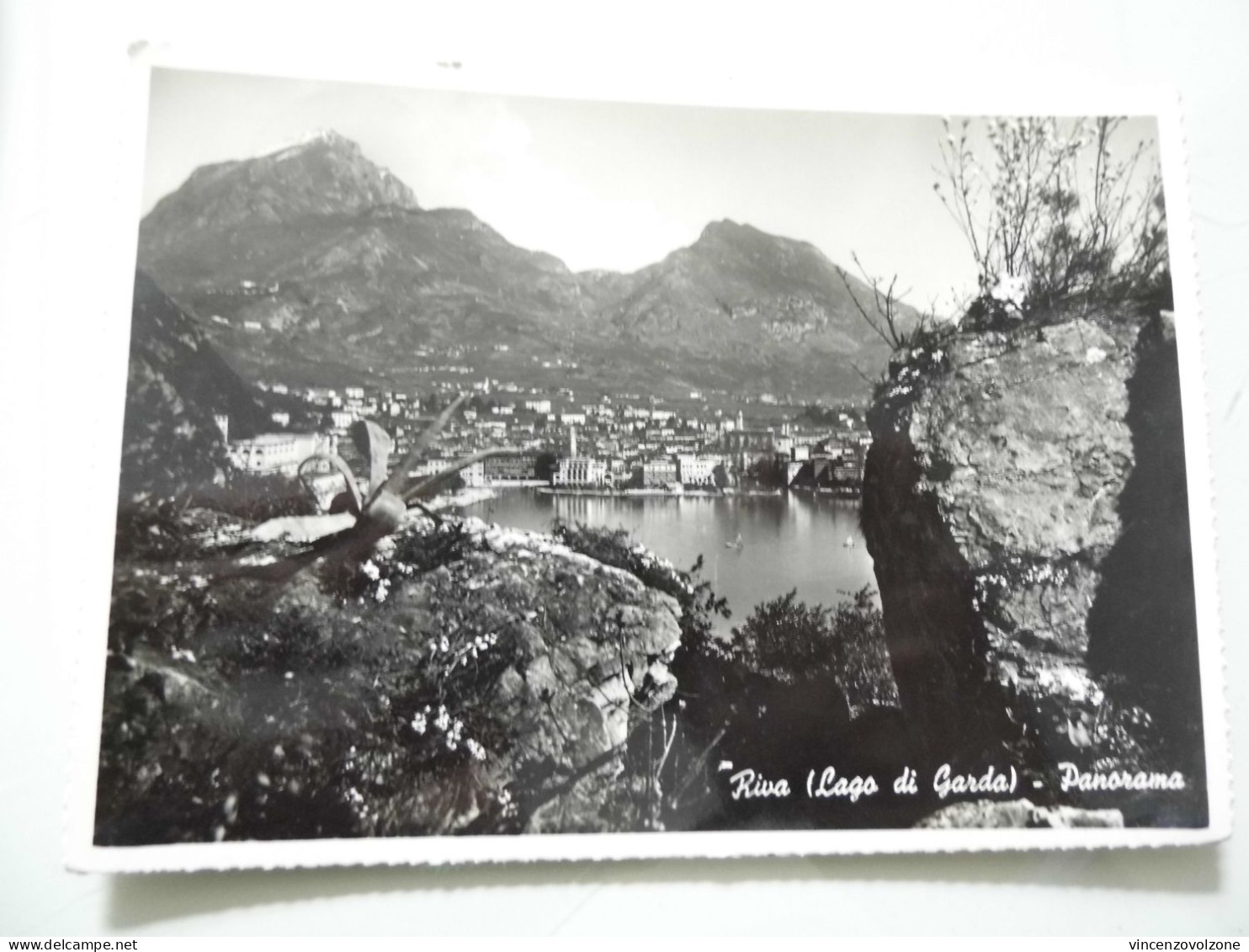 Cartolina Viaggiata "RIVA  ( Lago Di Garda )  Panorama"  1952 - Trento