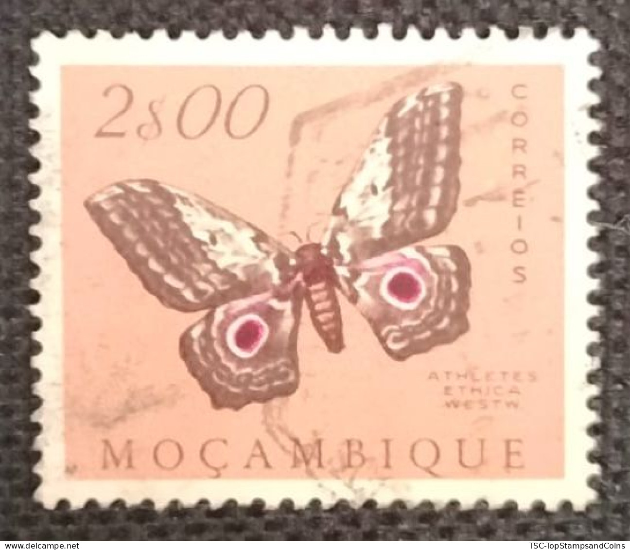 MOZPO0397UF - Mozambique Butterflies  - 2$00 Used Stamp - Mozambique - 1953 - Mozambique