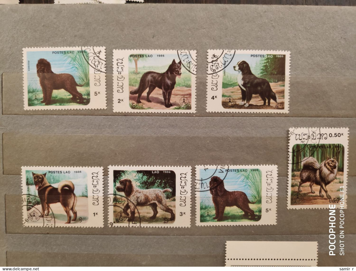 1986	Laos	Dogs (F87) - Laos