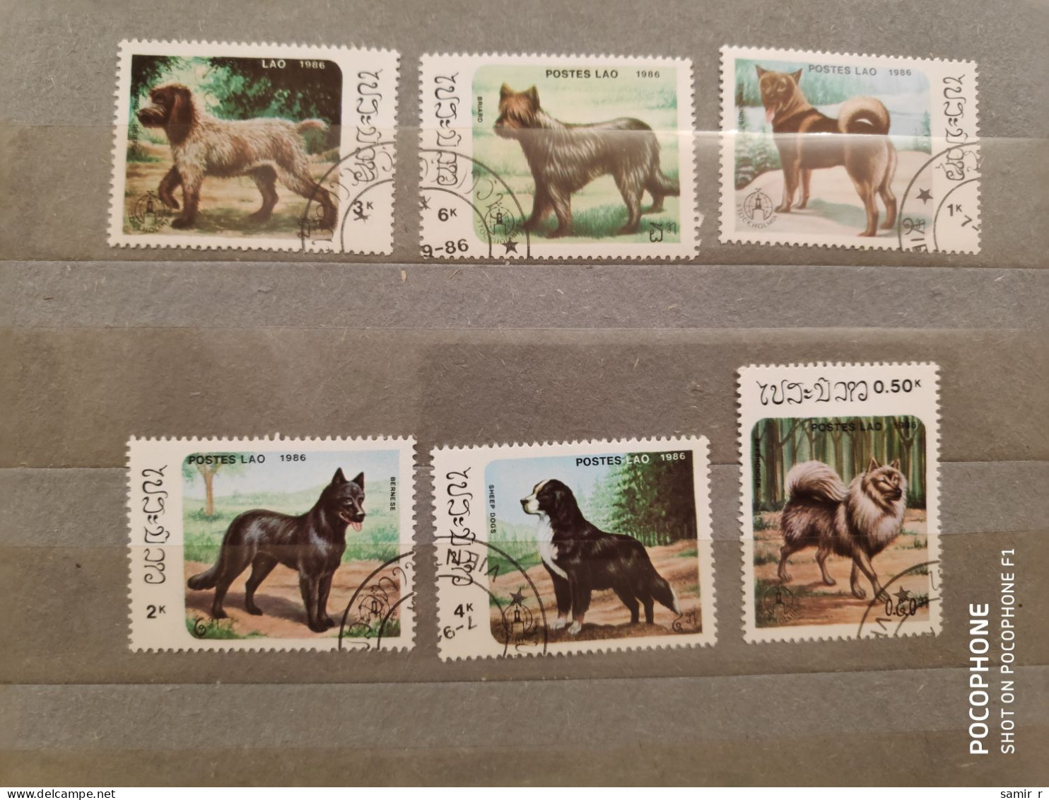 1986	Laos	Dogs (F87) - Laos