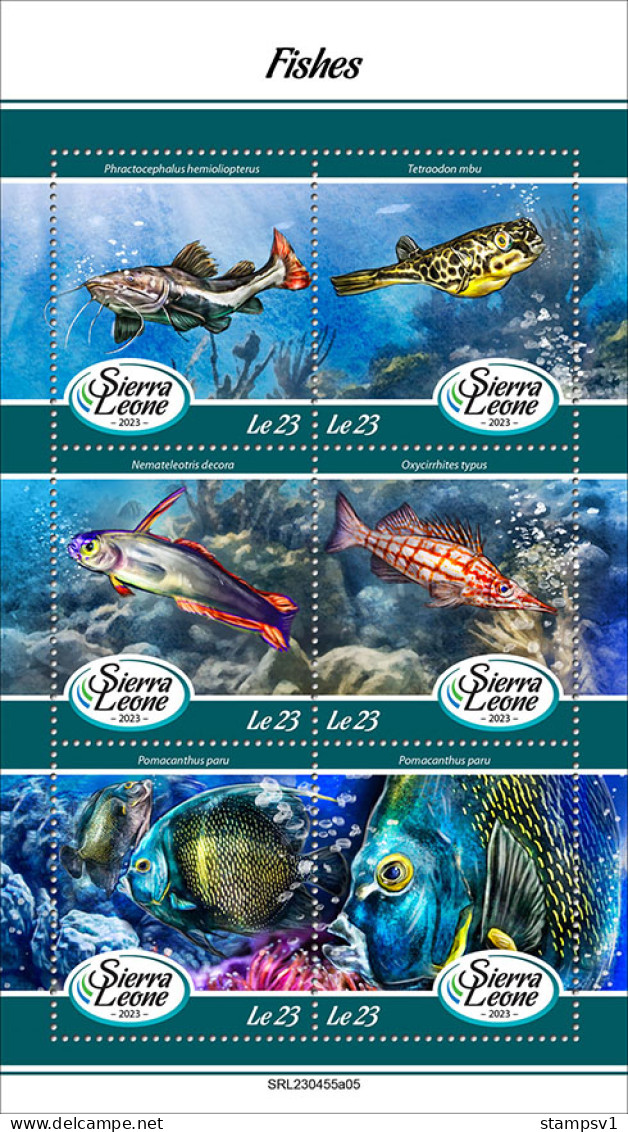 Sierra Leone  2023 Fishes. (445a05) OFFICIAL ISSUE - Vissen