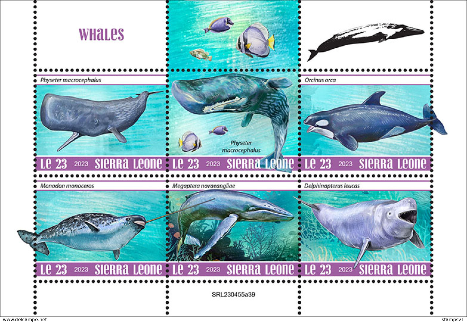 Sierra Leone  2023 Whales. (445a39) OFFICIAL ISSUE - Ballenas
