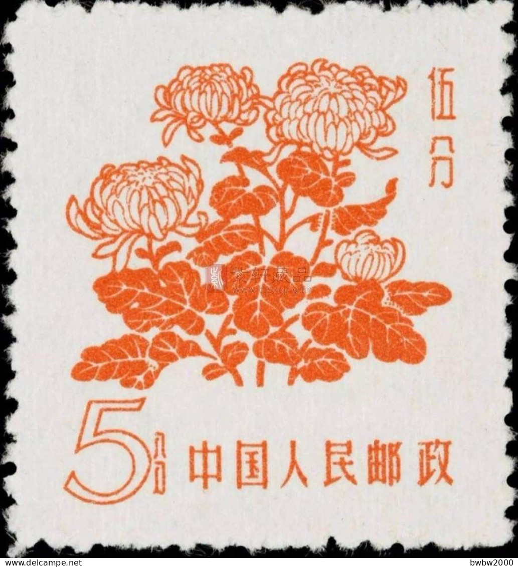 China 普10, (3-3), Chrysanthemum《菊花》 - Ongebruikt