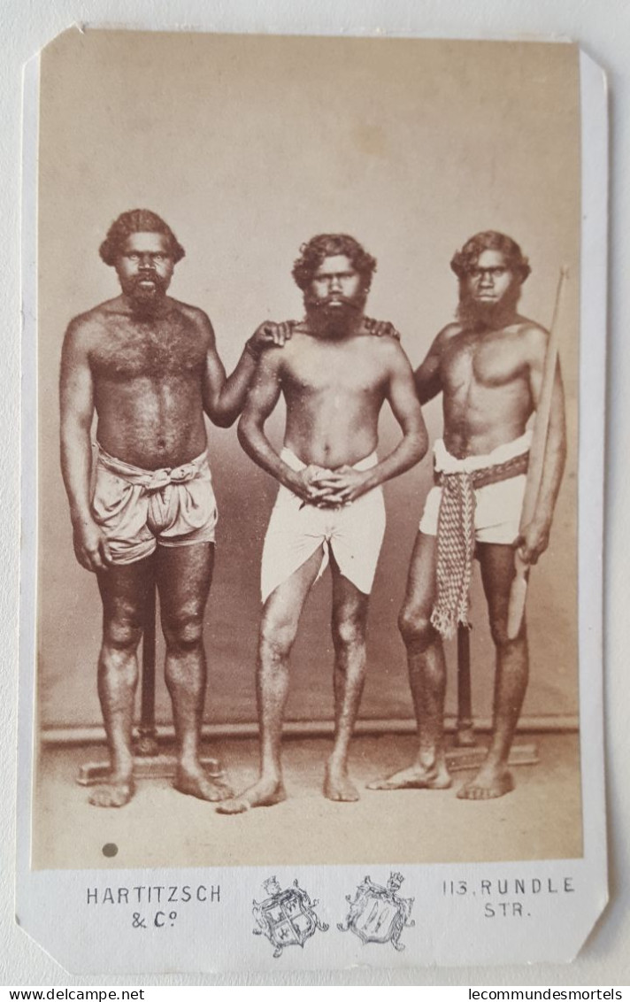 Aborigène, Circa 1870, CDV Portrait Trois Hommes, Photographe Hartitzsch - Ozeanien