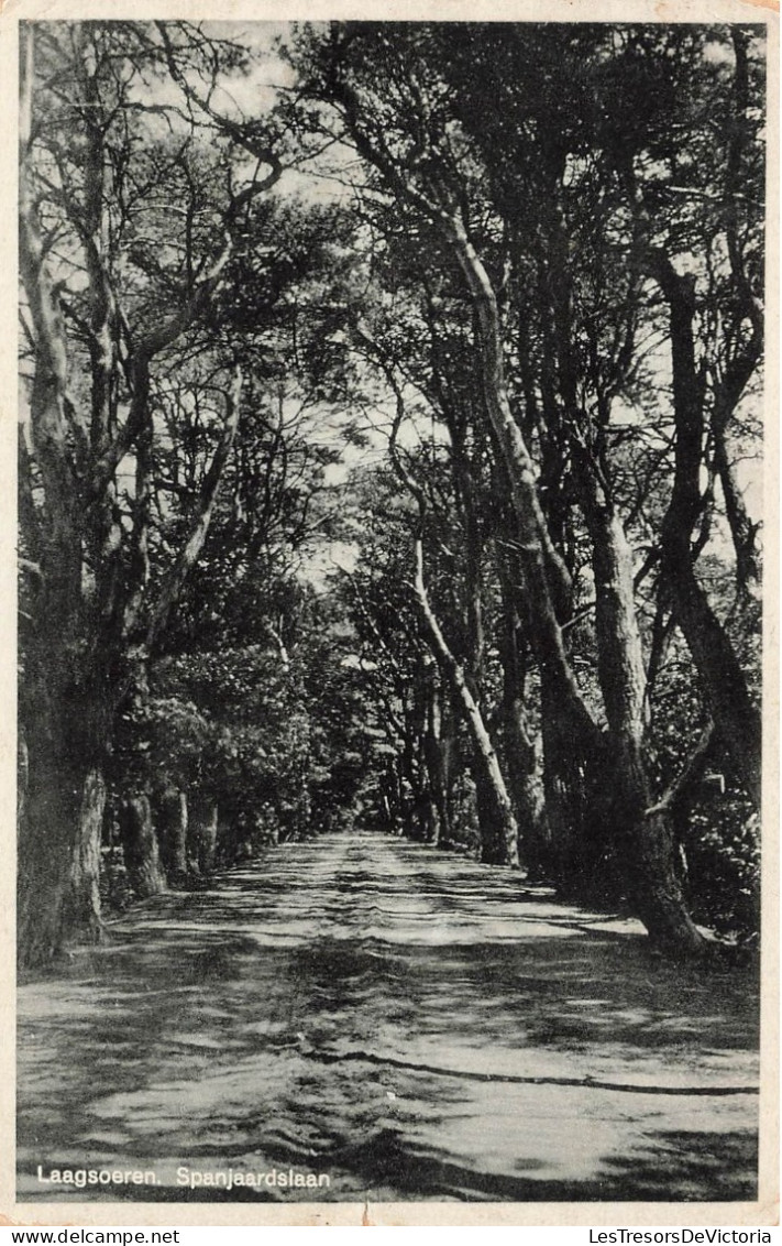 PAYS-BAS - LaagSoeren - Spanjaardslaan - Vue Sur Une Route - Arbres - Carte Postale Ancienne - Rheden