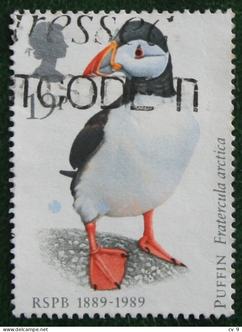 19P Bird Vogel Oiseau Pajaro (Mi 1185) 1989 Used Gebruikt Oblitere ENGLAND GRANDE-BRETAGNE GB GREAT BRITAIN - Oblitérés