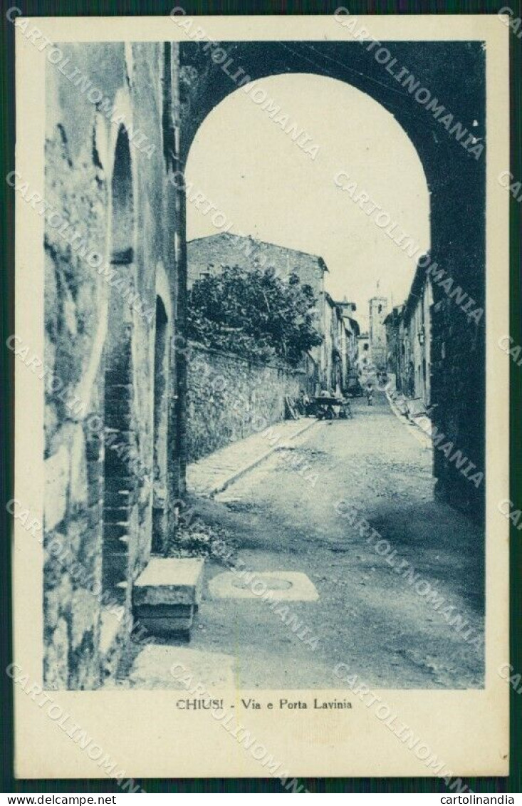 Siena Chiusi Porta Lavinia Cartolina MT1539 - Siena