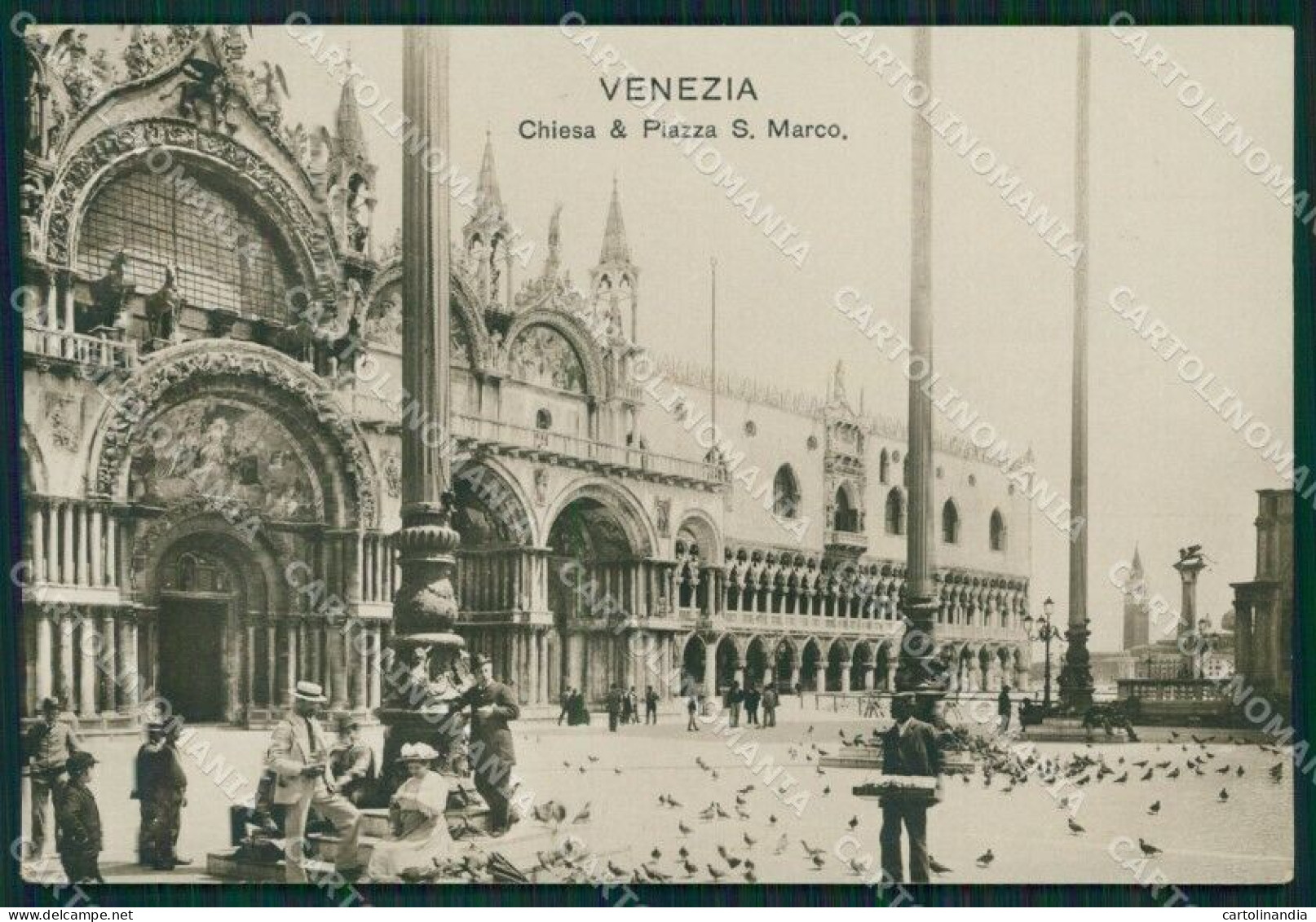 Venezia Città Chiesa E Piazza San Marco Piccioni Foto Cartolina MT1764 - Venezia (Venedig)