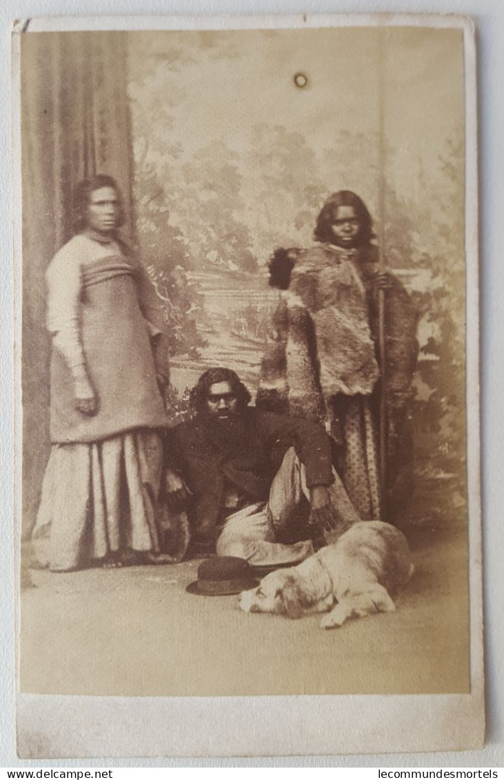 Aborigène, Circa 1870, CDV Portrait 4 Personnes , Un Chien, Photographe Hartitzsch - Oceanía