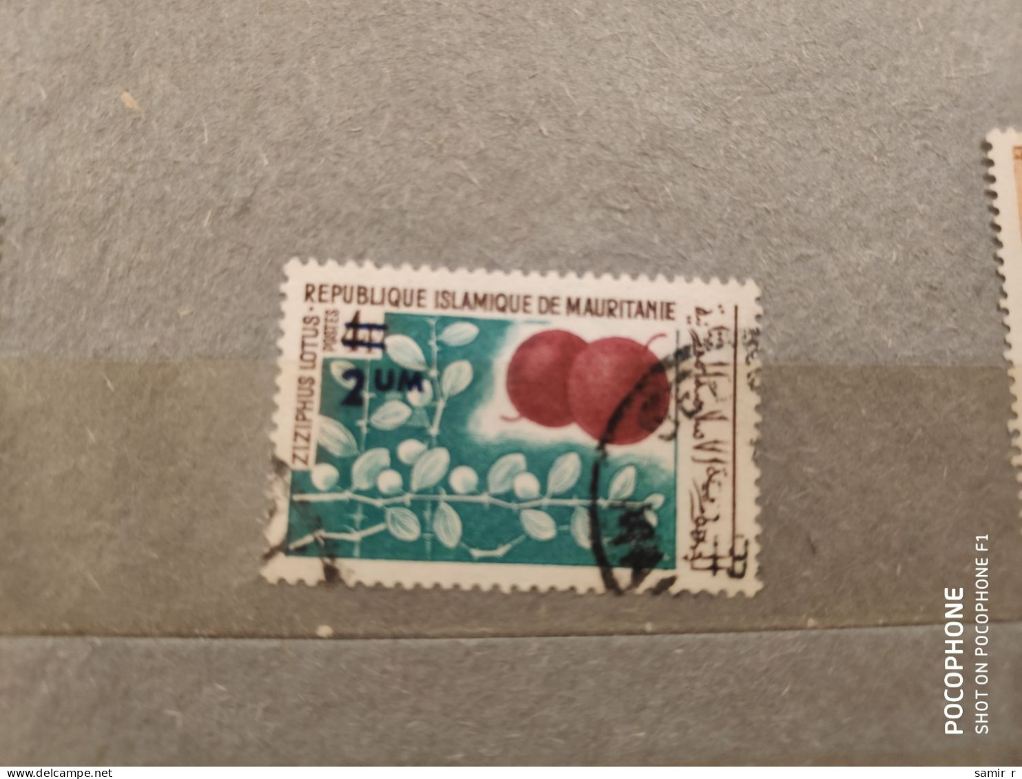 Mauritania	Fruits (F87) - Mauritanië (1960-...)