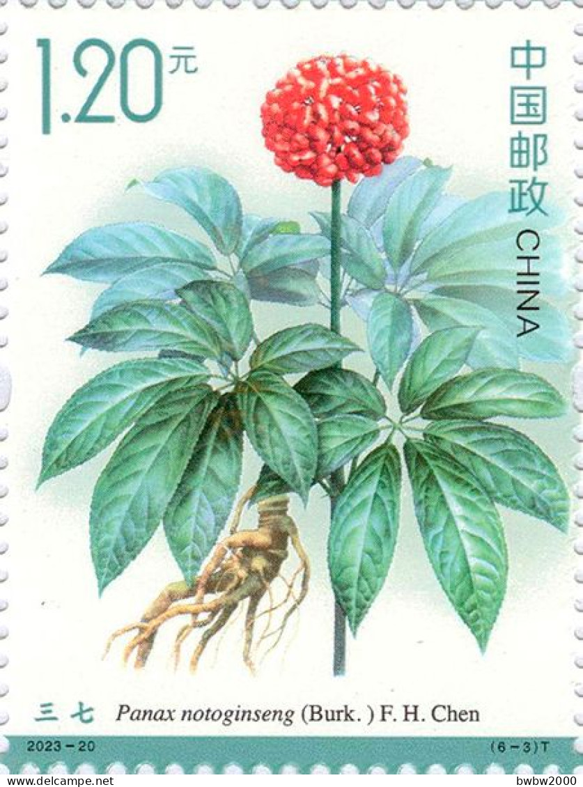 China 2023-20, Medicinal Plants （Third）《药用植物三》 - Unused Stamps