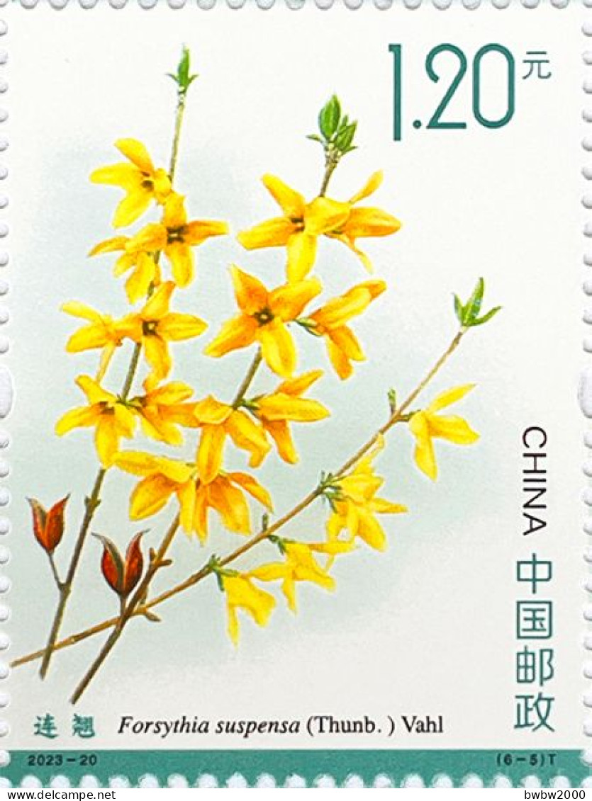 China 2023-20, Medicinal Plants （Third）《药用植物三》 - Unused Stamps