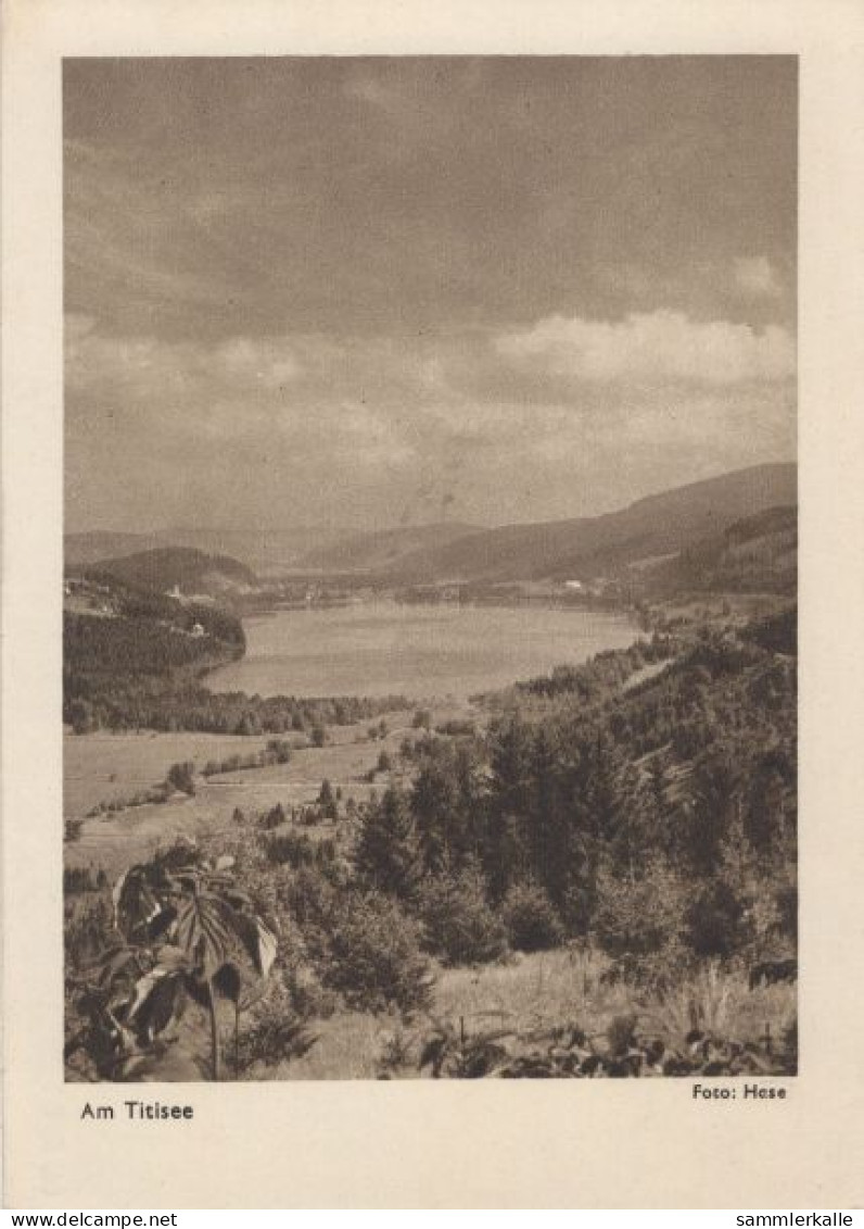 123234 - Titisee (See) - Aus Der Ferne - Titisee-Neustadt