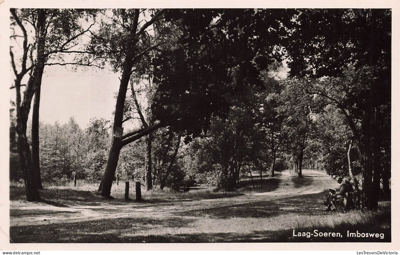 PAYS-BAS - Laag Soeren - Imbosweg- Vue Sur Une Route Dans La Forêt - Arbres - Carte Postale Ancienne - Rheden